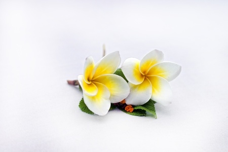 感恩节由来用英语怎么说 - 英语知识 - Spiiker必