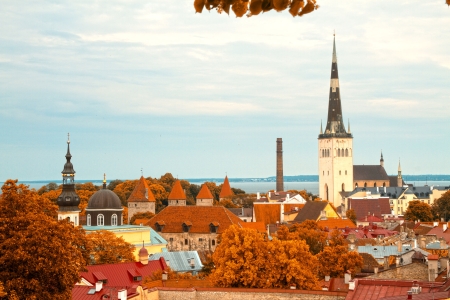 必克英语的少儿课程怎么样?贵吗?